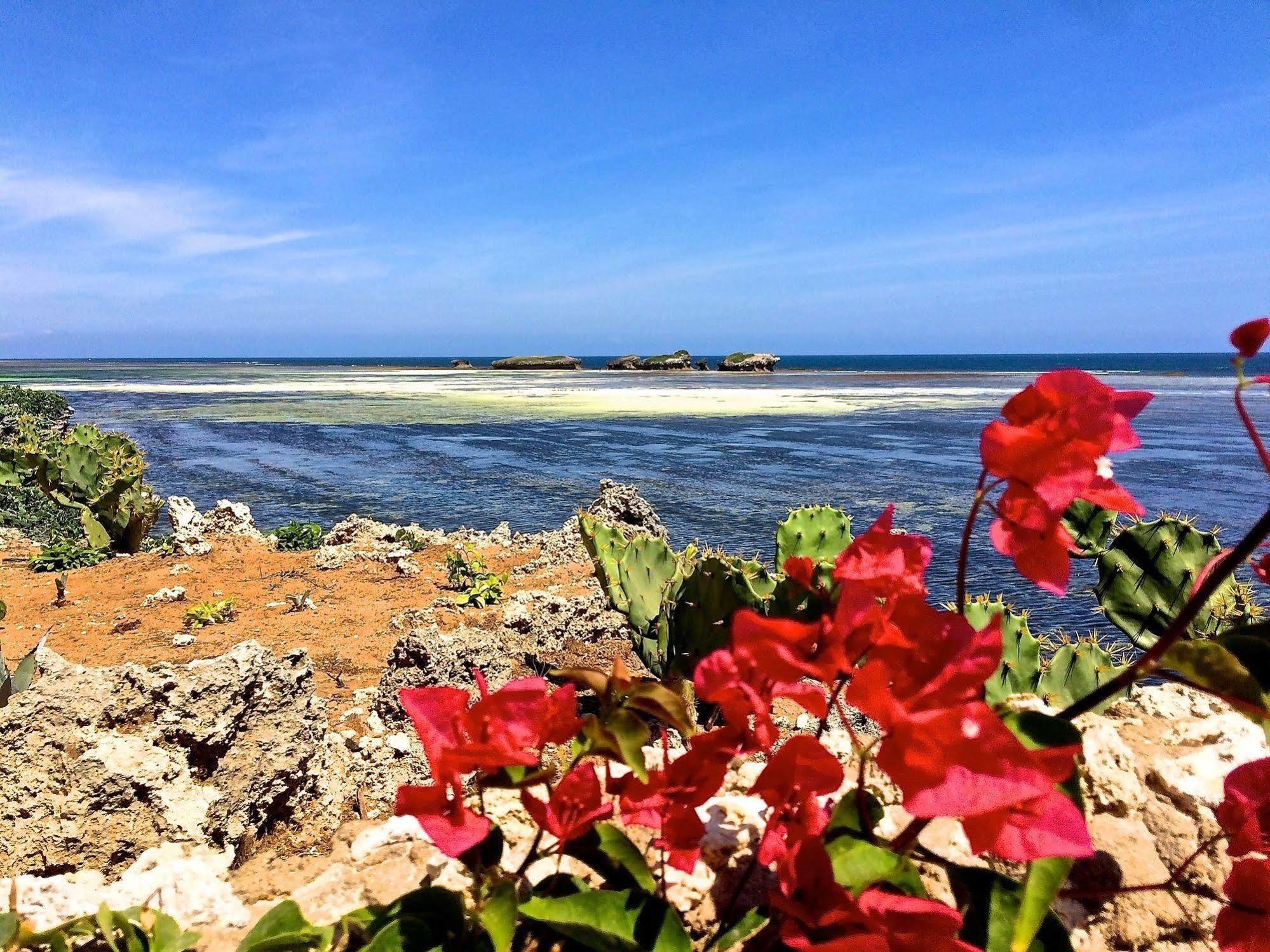 Mawe Resort Watamu Boutique Hotel Dış mekan fotoğraf