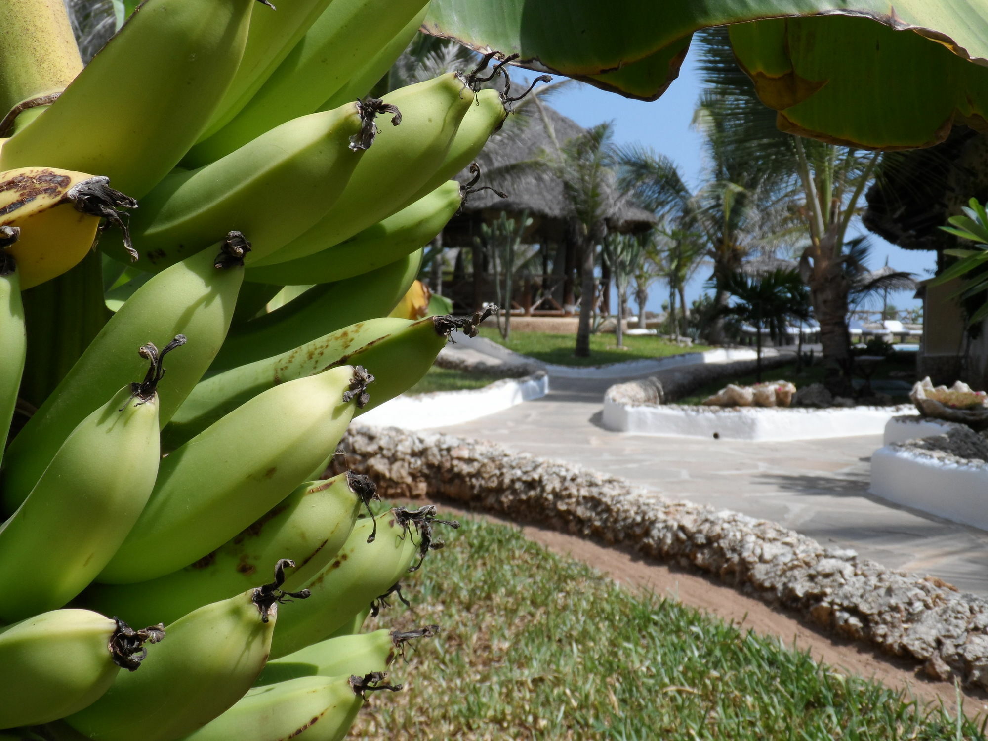 Mawe Resort Watamu Boutique Hotel Dış mekan fotoğraf